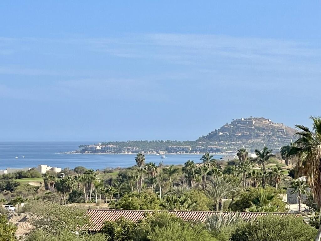 Sell In Cabo  for sale