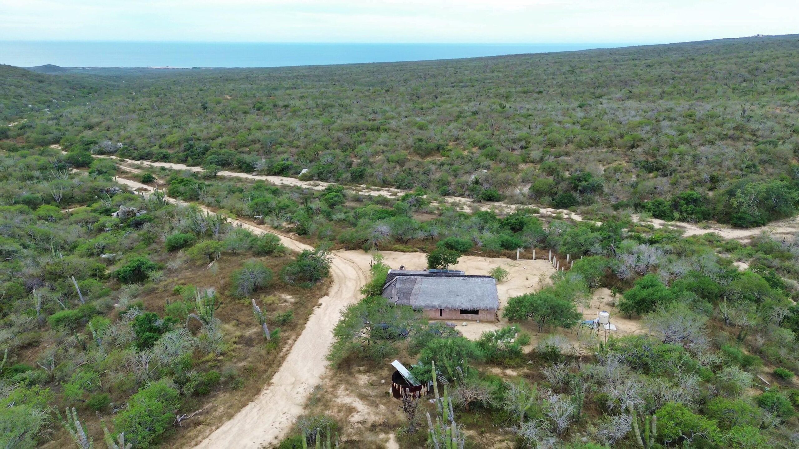 Santuario, Pacific, BS
