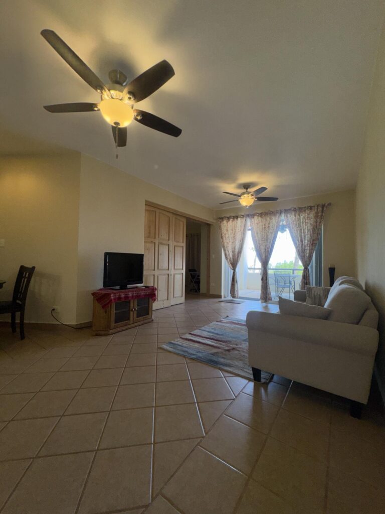 Los Cabos Tamar Whether you are seeking a primary residence, a dreamy vacation escape, or a high-ROI investment property, this turnkey, furnished 2-bedroom, 2-bathroom ocean- – 306 Bahia de las Palmas, San Jose del Cabo, BS